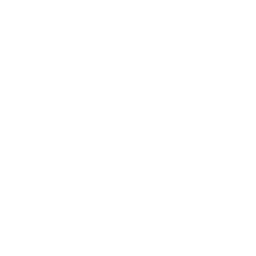 NextGenFiveM Docs